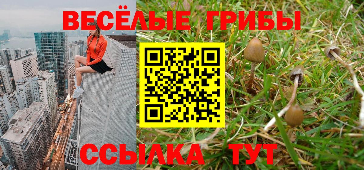 Псилоцибиновые грибы Psilocybine cubensis Соль-Илецк